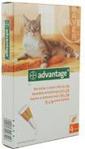 Bayer Advantage Roztwór Do Nakrapiania Kot 0,4 Ml (Do 4 Kg)