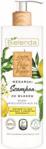 Bielenda 100% Pure Vegan Wegański Szampon Do Włosów Przetłuszczających Się 400ml