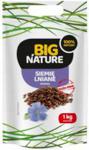 BIG NATURE SIEMIĘ LNIANE NASIONA LNU 1kg