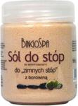 Bingospa Sól do Stóp Borowinowa 550g