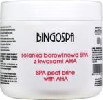 Bingospa Solanka Borowinowa Spa z Kwasami Aha 600g