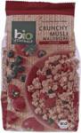 Bio Musli Crunchy Dzikie Jagody 375g Zentrale EKO