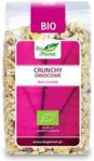 Bio Planet crunchy owocowe bio 250g