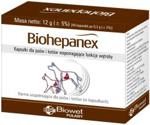 Biohepanex 40 kapsułek