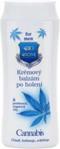 Bione Men kremowy balsam po goleniu 200ml