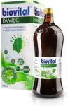 Biovital Pamięć płyn 1000ml