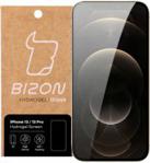 Bizon Glass Folia hydrożelowa do iPhone 13/13 Pro, Bizon, x2