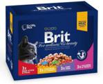 Brit Adult Family Plate Multipack 12x100g