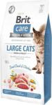 Brit Care Cat Grain Free Large Cats Power&Vitality 2X7Kg