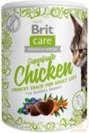 Brit Care Superfruits Chicken 100g