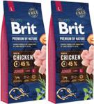 Brit Premium By Nature Junior Large 2x15kg