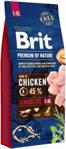 Brit Premium By Nature Senior Large / Extra Large 15kg