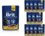 Brit Premium Cat Chicken Turkey 12x100g