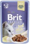 Brit Premium Fillets Z Wołowiną W Galaretce 85g