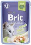 Brit Premium Trout Fillets For Adult Cats Jelly 12X85G