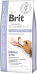 Brit Veterinary Diet Gastrointestinal Herring&Pea 12kg