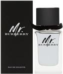 Burberry Mr. Burberry Woda Toaletowa 100ml