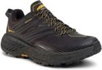 Buty do biegania Hoka One One Speedgoat 4 Gtx Gore Tex 1106530 Adgg