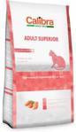 Calibra Cat Adult Superior Chicken&Potato 2kg