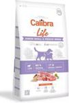 Calibra Dog Life Junior Small & Medium Breed Lamb 2,5kg