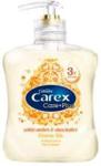 Carex Antybakteryjne mydło w płynie Care + Plus Divine Silk z pompką 250ml