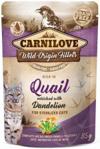 Carnilove Cat Pouch Quail&Dandelion Sterilised 6X85G