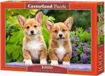 Castor Puzzle Szczenięta Welsh Corgi 1000El.