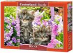 Castorland Puzzle 1000 Kittens In Summer Garden