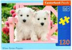 Castorland Puzzle 120 White Terrier Puppies Castor