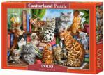 Castorland Puzzle 2000 House Of Cats