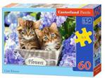 Castorland Puzzle 60 el. Cute Kittens