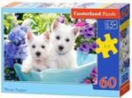 Castorland Puzzle 60 Westie Puppies