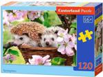 Castorland Puzzle Springtime 120El.