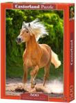 Castorland Running Haflinger 500el