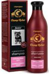 ChampRicher Champion szampon szczeniak Yorkshire Terrier 250ml