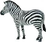 Collecta Zebra Pospolita