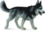 Collecta Zwierzęta domowe Pies Rasy Siberian Husky (88707)