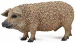 Collecta Zwierzęta domowe Świnia Mangalica (88674)