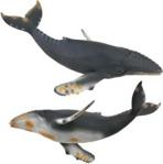 Collecta Zwierzęta wodne Wieloryb Humbak