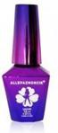 colours by molly TOP NO WIPE SOFT 10 ML