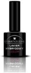 Cosmetics Zone Lakier Hybrydowy 170 Strawberry Ice 7ml