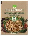 DARY NATURY Nasiona na kiełki pszenica BIO 50g