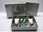 Davidoff Echo woda toaletowa 50ml + żel pod prysznic 50ml + balsam po goleniu 50ml