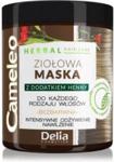 Delia Cameleo Herbal Maska Ziołowa Z Dodatkiem Henny Do Każdego Rodzaju Włosów 250Ml