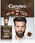 Delia Cosmetics Cameleo Men reduktor siwizny dla mężczyzn odcień 4.0 Medium Brown 2x15ml