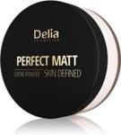 Delia Cosmetics Skin Defined Puder sypki Perfect Matt nr 42 Transparent 20g