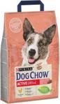 Dog Chow Active Kurczak 14kg