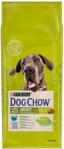 Dog Chow Large Breed Adult Indyk 14kg