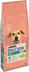 Dog Chow Light Indyk 14kg