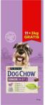 Dog Chow Senior Jagnięcina 11kg+3kg